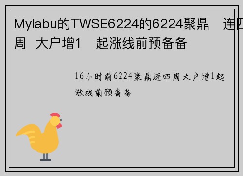 Mylabu的TWSE6224的6224聚鼎 连四周 大户增1 起涨线前预备备
